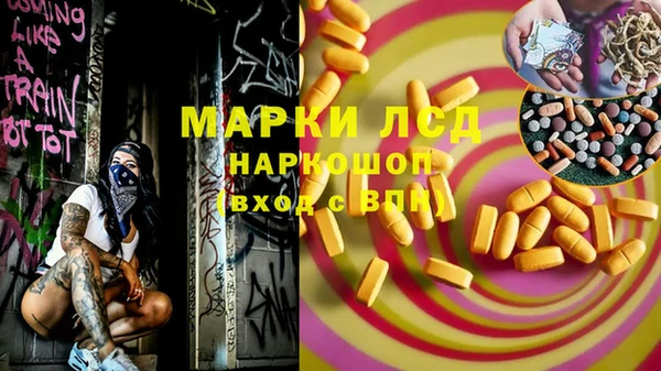 прущие грибы Верхний Тагил