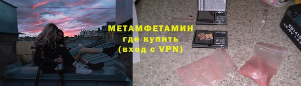 прущие грибы Верхний Тагил