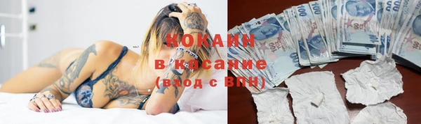 прущие грибы Верхний Тагил
