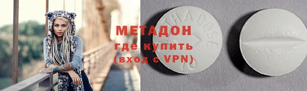 прущие грибы Верхний Тагил