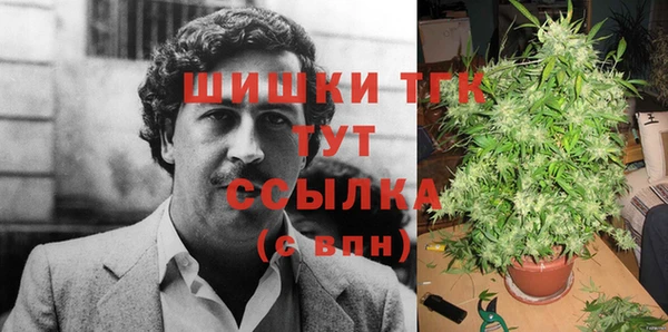 прущие грибы Верхний Тагил