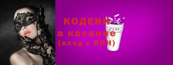 прущие грибы Верхний Тагил