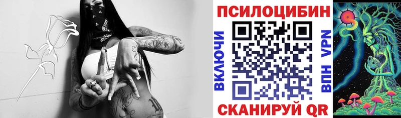 Псилоцибиновые грибы мухоморы  Купить закладки  Балашиха 